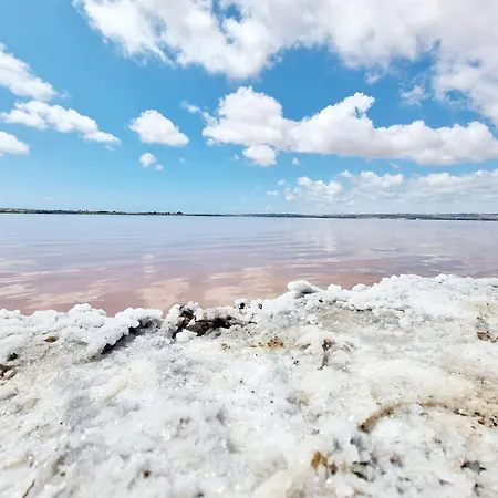 Apartment Comfortable In With Pool And Near The Sea